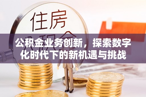 内乡公积金业务创新，探索数字化时代下的新机遇与挑战
