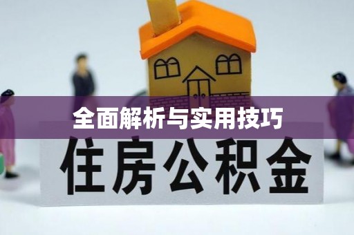 内乡全面解析与实用技巧