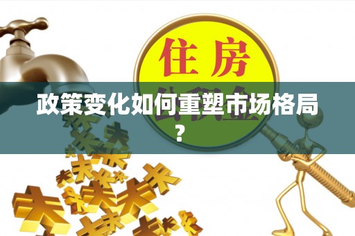 内乡政策变化如何重塑市场格局？