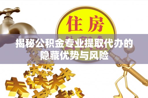 内乡揭秘公积金专业提取代办的隐藏优势与风险