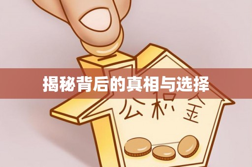 内乡揭秘背后的真相与选择