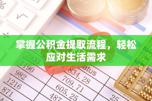 内乡掌握公积金提取流程，轻松应对生活需求