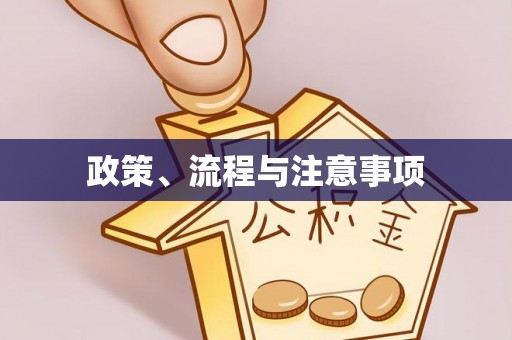 内乡政策、流程与注意事项
