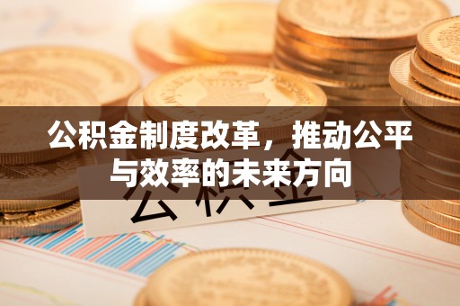 内乡公积金制度改革，推动公平与效率的未来方向