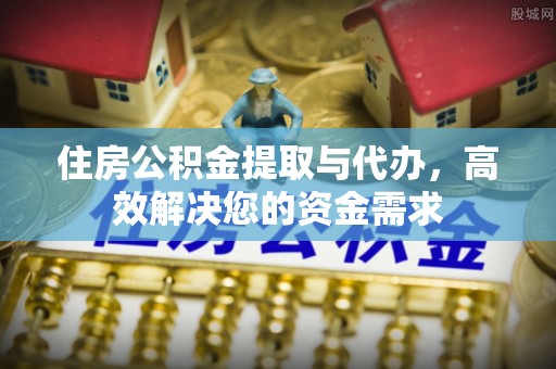 内乡住房公积金提取与代办，高效解决您的资金需求