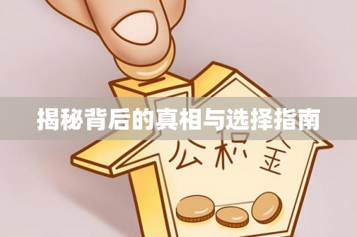 内乡揭秘背后的真相与选择指南