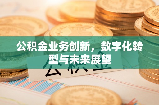 内乡公积金业务创新，数字化转型与未来展望