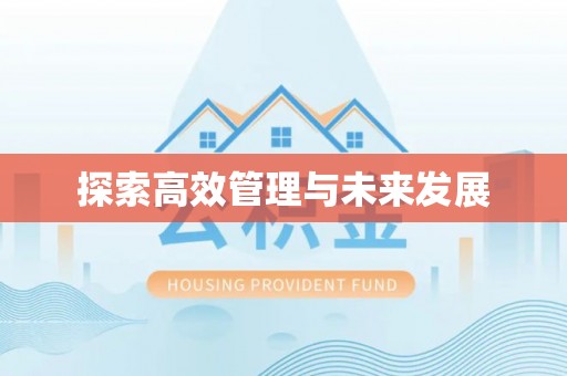 内乡探索高效管理与未来发展