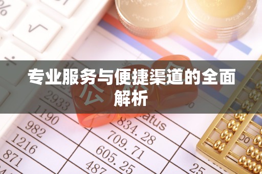 内乡专业服务与便捷渠道的全面解析