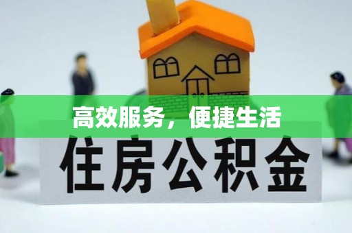 内乡高效服务，便捷生活