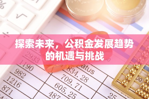 内乡探索未来，公积金发展趋势的机遇与挑战