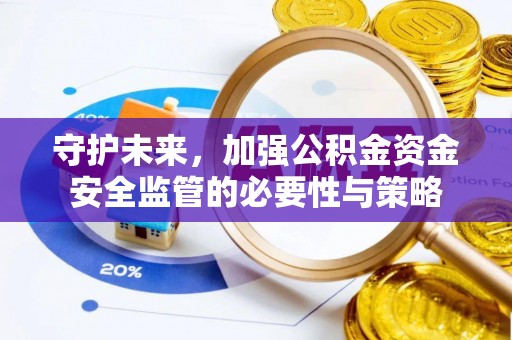 内乡守护未来，加强公积金资金安全监管的必要性与策略