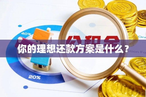内乡你的理想还款方案是什么？