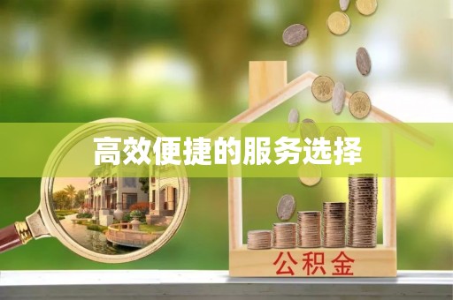 内乡高效便捷的服务选择