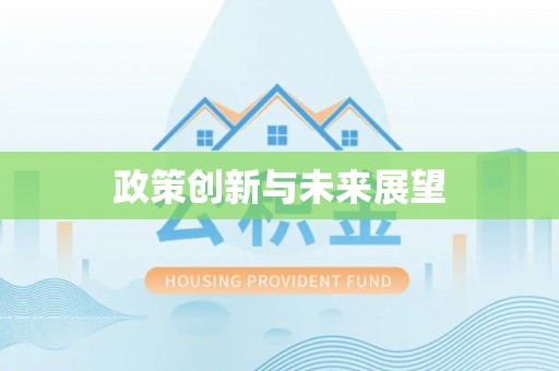 内乡政策创新与未来展望
