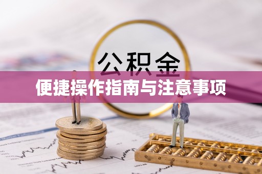 内乡便捷操作指南与注意事项